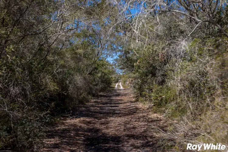 Seventh view of Homely land listing, 97 Wallis Island, Wallis Lake NSW 2428