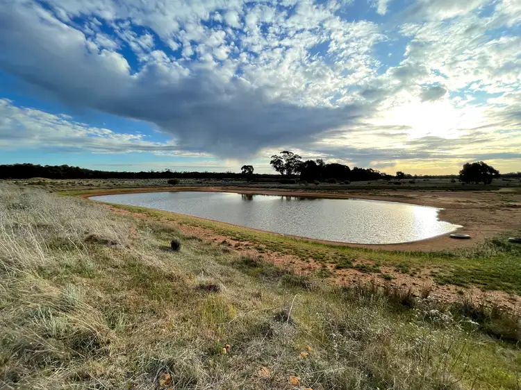 Main view of Homely rural property listing, 'Glen Iris' 871 Mid Western Highway, West Wyalong NSW 2671