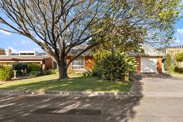 42 Griggs Drive, Athelstone SA 5076