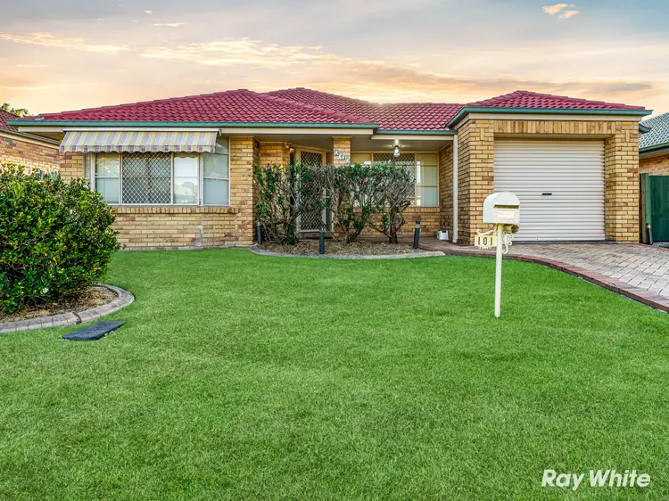101 Wimbledon Circuit, Carseldine QLD 4034