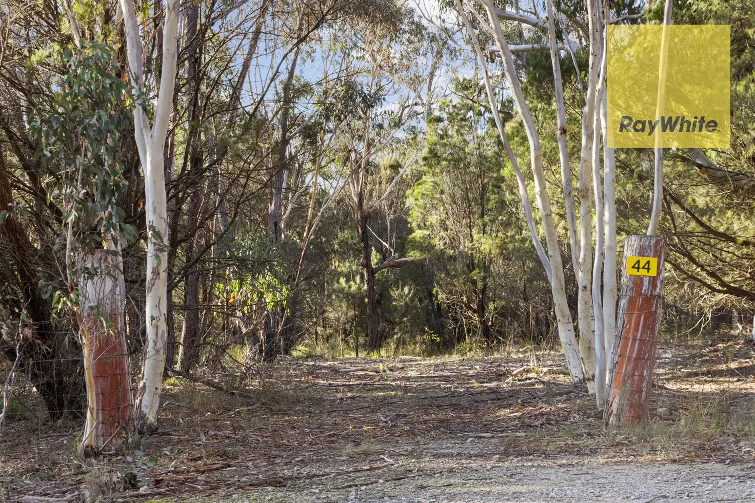 Main view of Homely rural property listing, 44 Candlebark Road, Bungonia NSW 2580