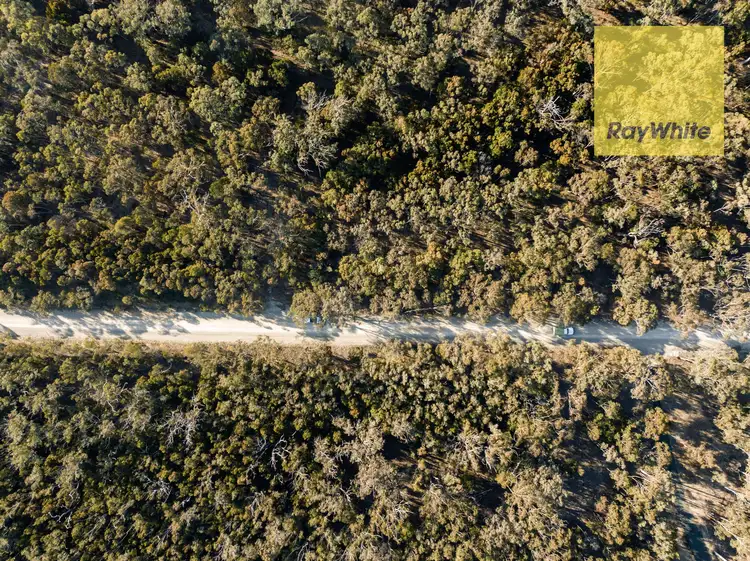 Third view of Homely rural property listing, 44 Candlebark Road, Bungonia NSW 2580