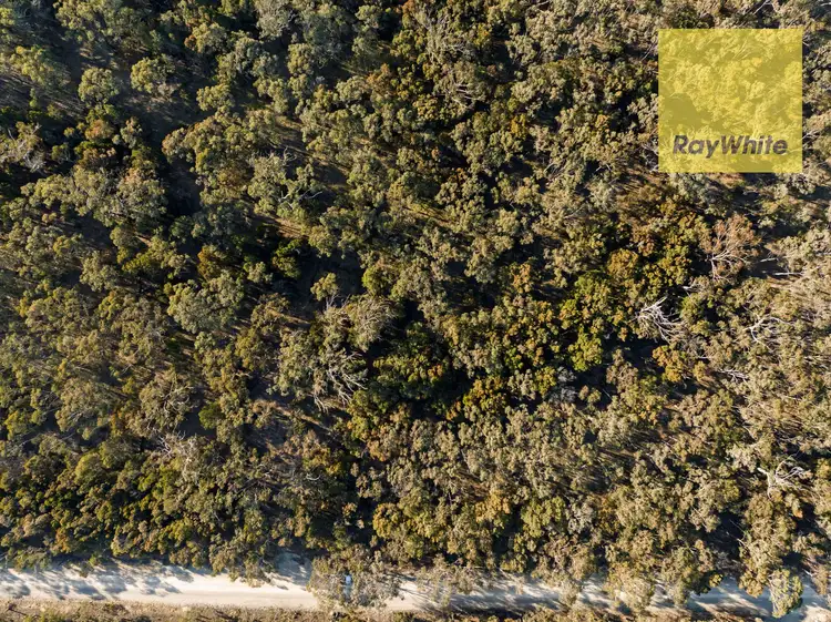 Sixth view of Homely rural property listing, 44 Candlebark Road, Bungonia NSW 2580