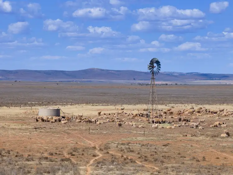 'Hammond' Wilmington Road, Hammond SA 5431