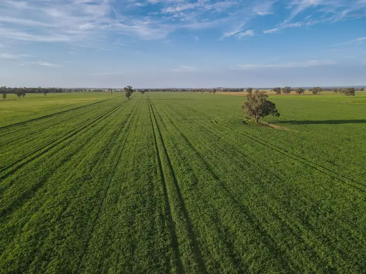 11025 "Lima" The Escort Way, Forbes NSW 2871