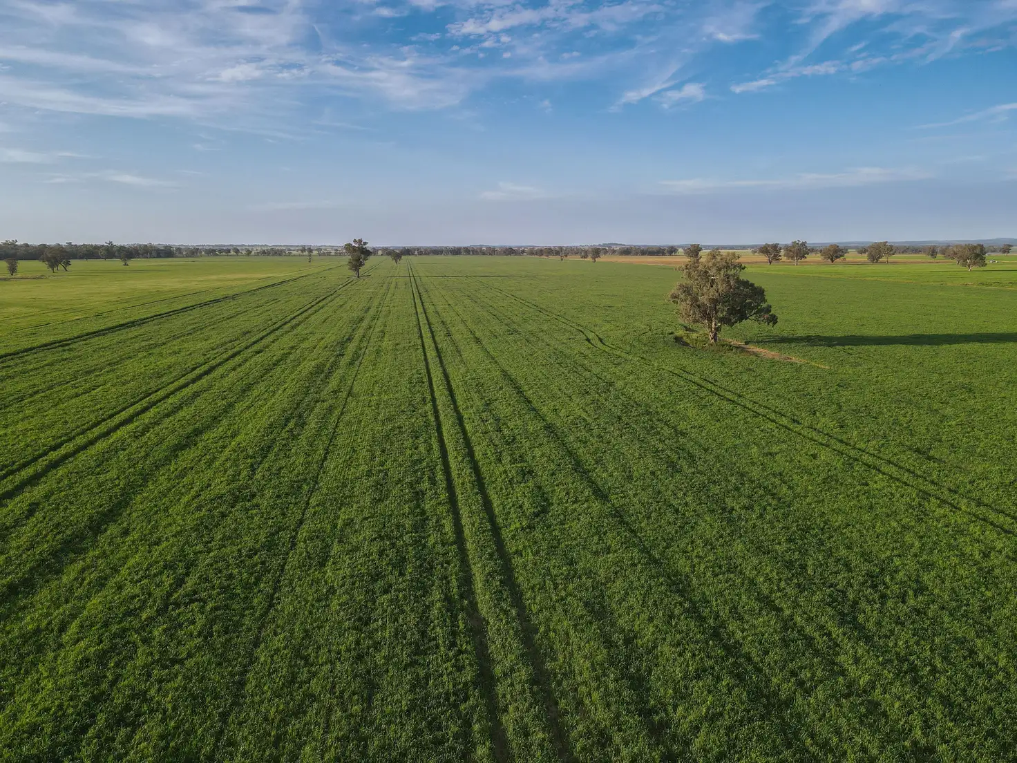 Main view of Homely rural property listing, 11025 "Lima" The Escort Way, Forbes NSW 2871