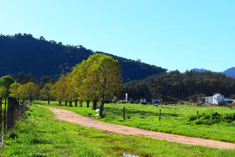 Third view of Homely rural property listing, 1124 WARKTON Road, Coonabarabran NSW 2357