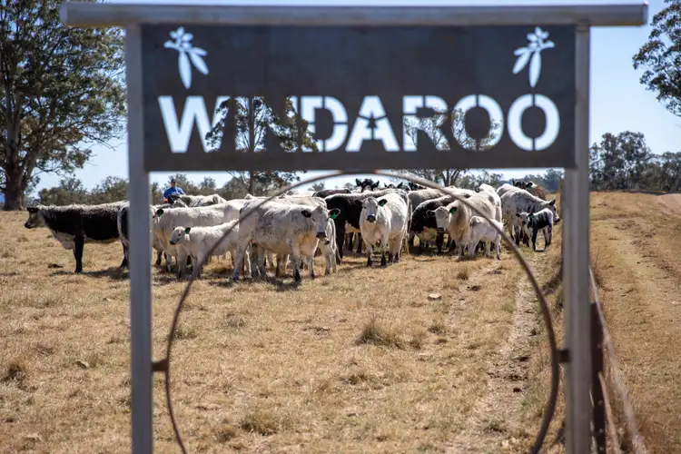 Second view of Homely rural property listing, 599 Oaklands Road, Yarrowitch NSW 2354