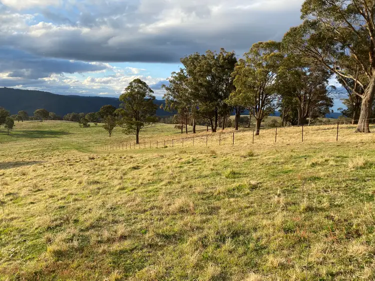 Third view of Homely rural property listing, 599 Oaklands Road, Yarrowitch NSW 2354