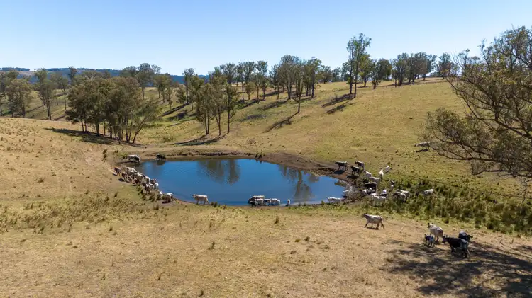 Fourth view of Homely rural property listing, 599 Oaklands Road, Yarrowitch NSW 2354