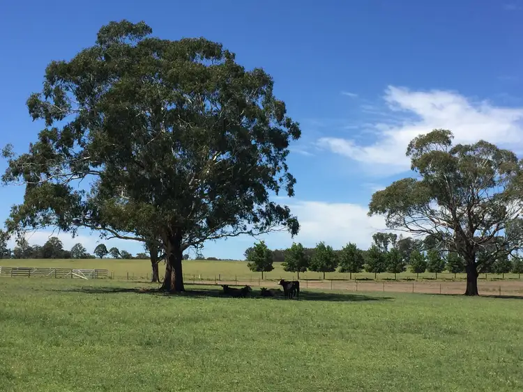 Fifth view of Homely rural property listing, 599 Oaklands Road, Yarrowitch NSW 2354