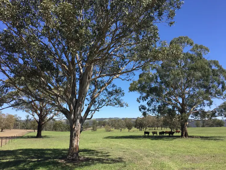 Sixth view of Homely rural property listing, 599 Oaklands Road, Yarrowitch NSW 2354