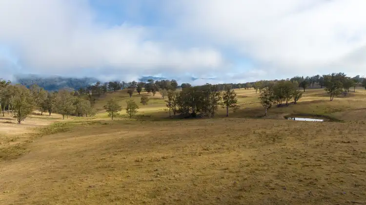 Seventh view of Homely rural property listing, 599 Oaklands Road, Yarrowitch NSW 2354
