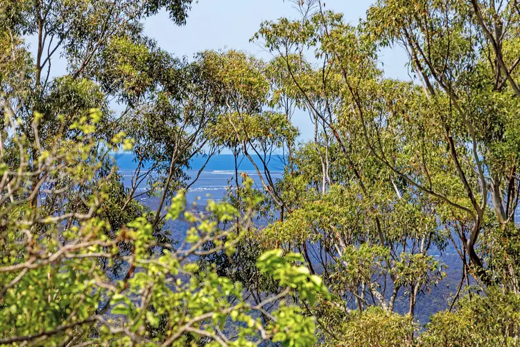 Sixth view of Homely house listing, 54 Esme Street, Tamborine Mountain QLD 4272