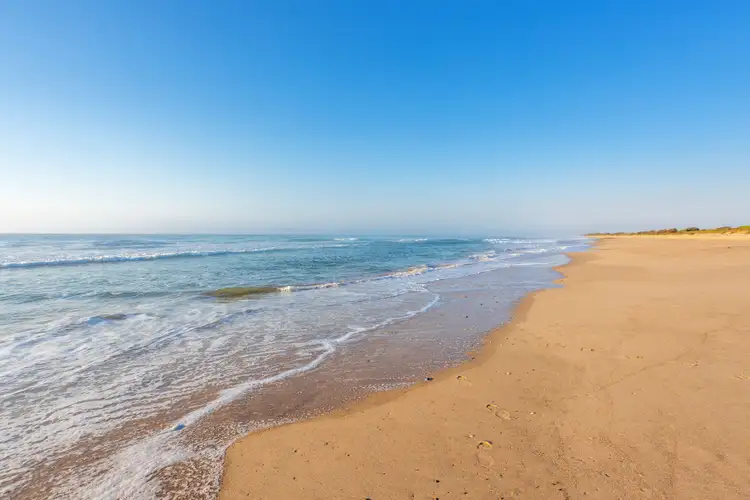 Third view of Homely rural property listing, 183 Beach Road, Mitchells Island NSW 2430