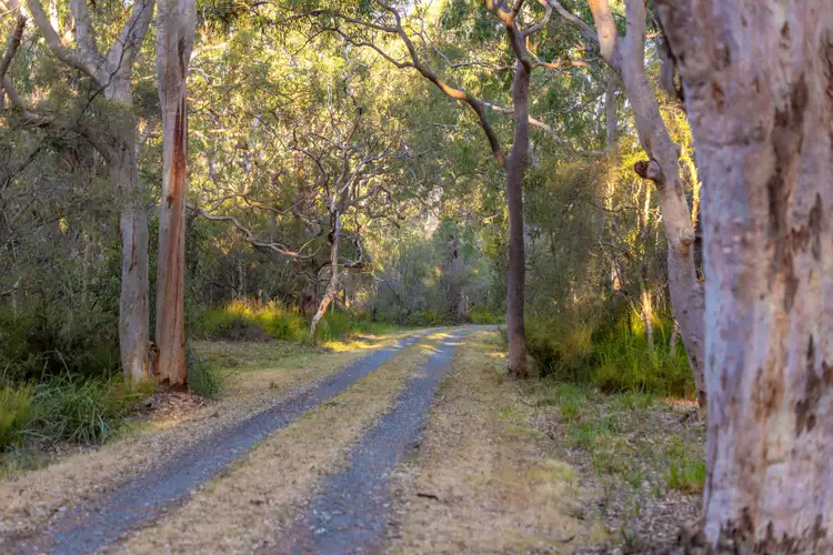 Fifth view of Homely rural property listing, 183 Beach Road, Mitchells Island NSW 2430