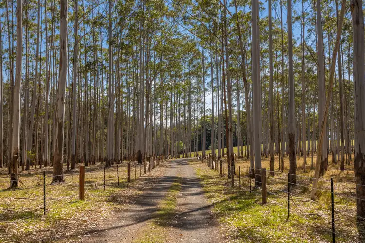 Fourth view of Homely rural property listing, 16805 Pacific Highway, Pampoolah NSW 2430