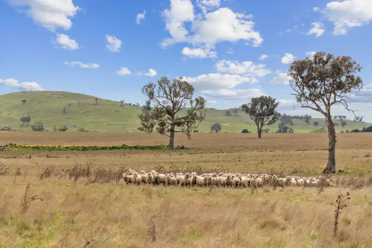 Fifth view of Homely rural property listing, "Avon" 476 Murrumbateman Road, Murrumbateman NSW 2582