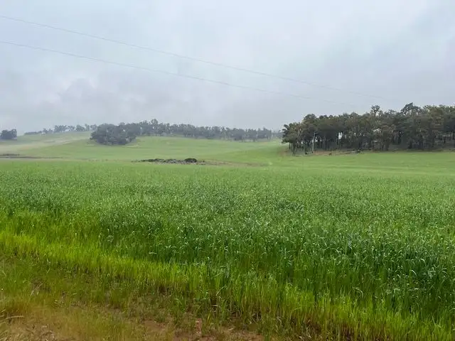 Third view of Homely rural property listing, Bullet Holdings, Lower Hotham Road, Lower Hotham WA 6390