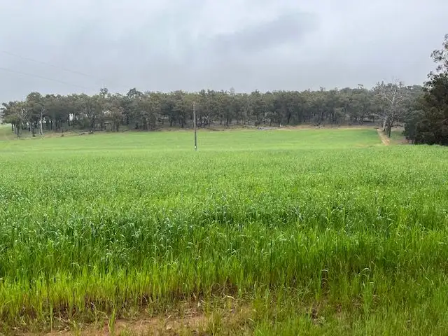 Fourth view of Homely rural property listing, Bullet Holdings, Lower Hotham Road, Lower Hotham WA 6390