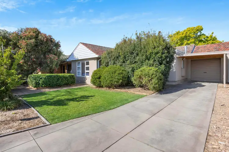 53 Lasscock Avenue, Lockleys SA 5032