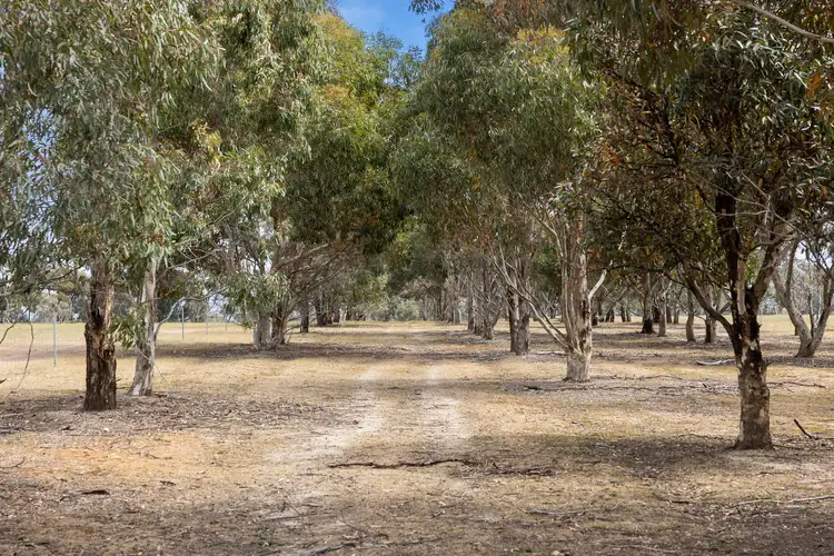 Seventh view of Homely land listing, Lot 1 Glenvale Road, Deep Lead VIC 3385