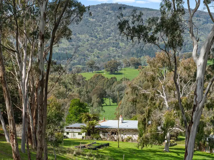 Fourth view of Homely rural property listing, 202 Davies Road, Warrenbayne VIC 3670