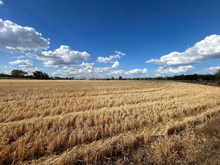 Main view of Homely rural property listing, Lot 1 & 2/768 Oakey-Pittsworth Road, Aubigny QLD 4401