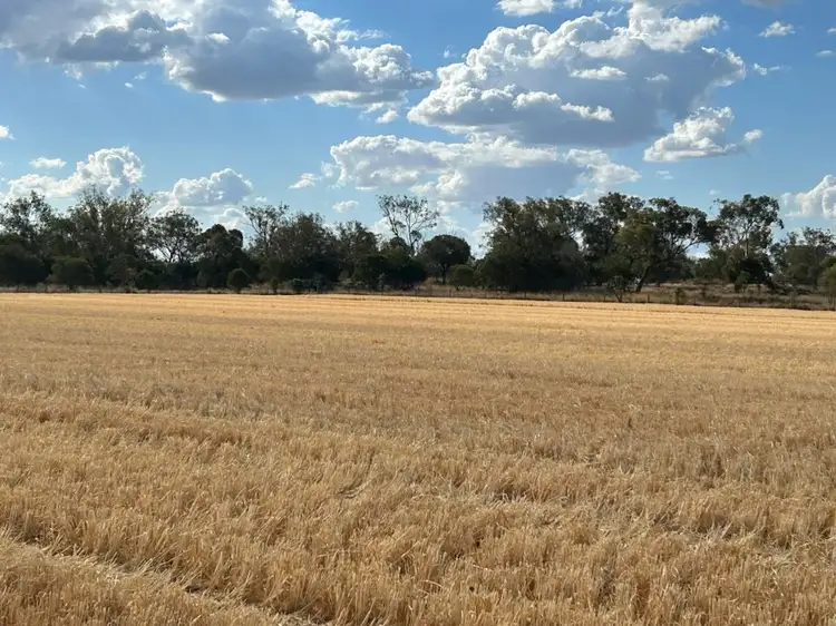 Second view of Homely rural property listing, Lot 1 & 2/768 Oakey-Pittsworth Road, Aubigny QLD 4401