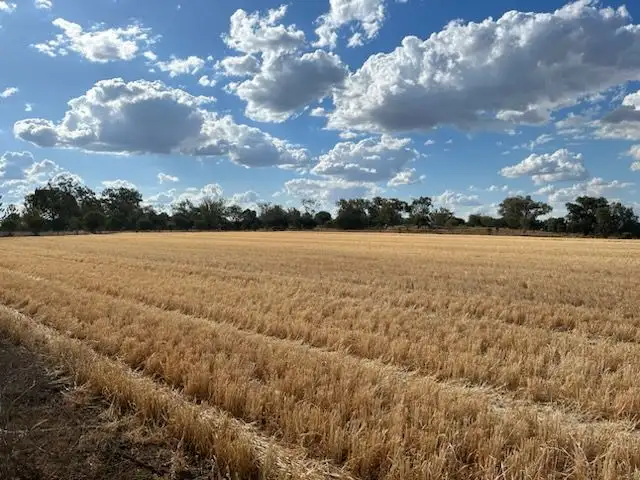 Third view of Homely rural property listing, Lot 1 & 2/768 Oakey-Pittsworth Road, Aubigny QLD 4401