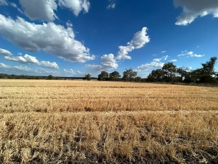 Fourth view of Homely rural property listing, Lot 1 & 2/768 Oakey-Pittsworth Road, Aubigny QLD 4401