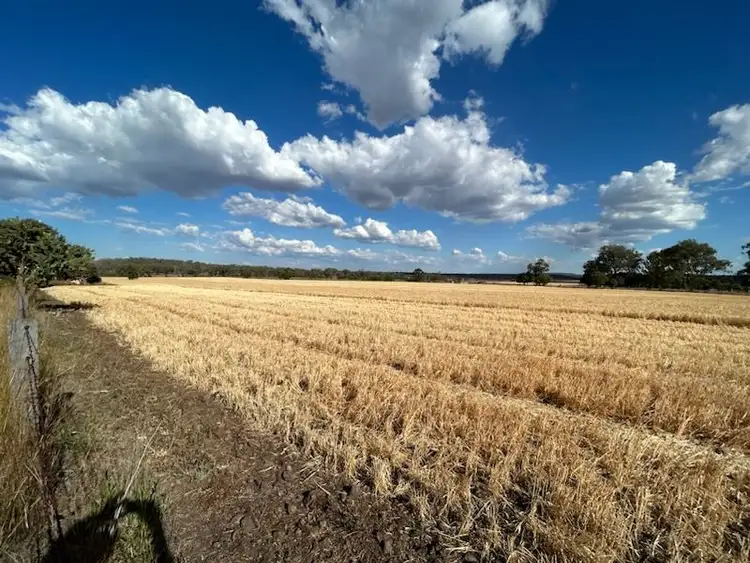 Fifth view of Homely rural property listing, Lot 1 & 2/768 Oakey-Pittsworth Road, Aubigny QLD 4401