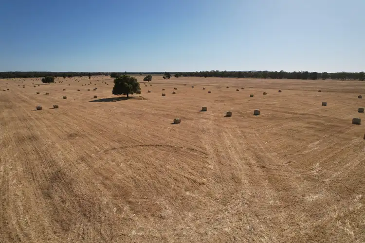 'Boree Glen' 456 Whymarks Lane, Tullibigeal NSW 2669