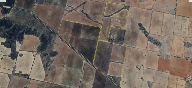 Third view of Homely rural property listing, 'Boree Glen' 456 Whymarks Lane, Tullibigeal NSW 2669
