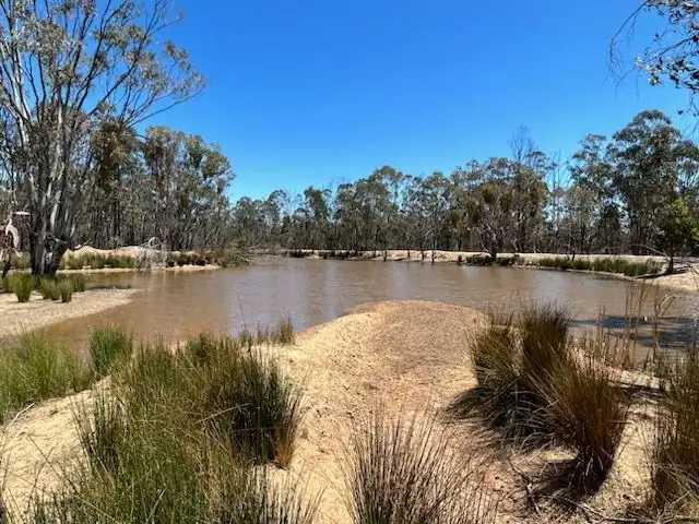 Main view of Homely rural property listing, 160 Brooklyn Road West, Leyburn QLD 4365