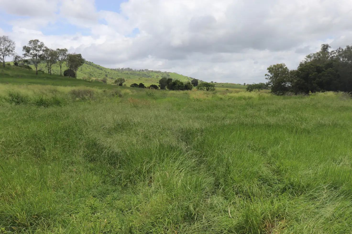 Main view of Homely rural property listing, 145 Hetheringtons Road, Dallarnil QLD 4621
