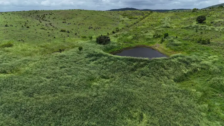 Sixth view of Homely rural property listing, 145 Hetheringtons Road, Dallarnil QLD 4621