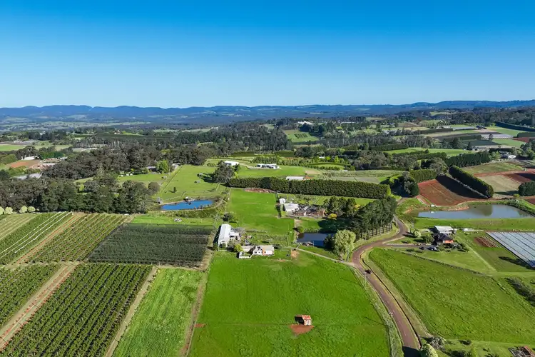 Fourth view of Homely house listing, 135 Wandin East Road, Wandin East VIC 3139