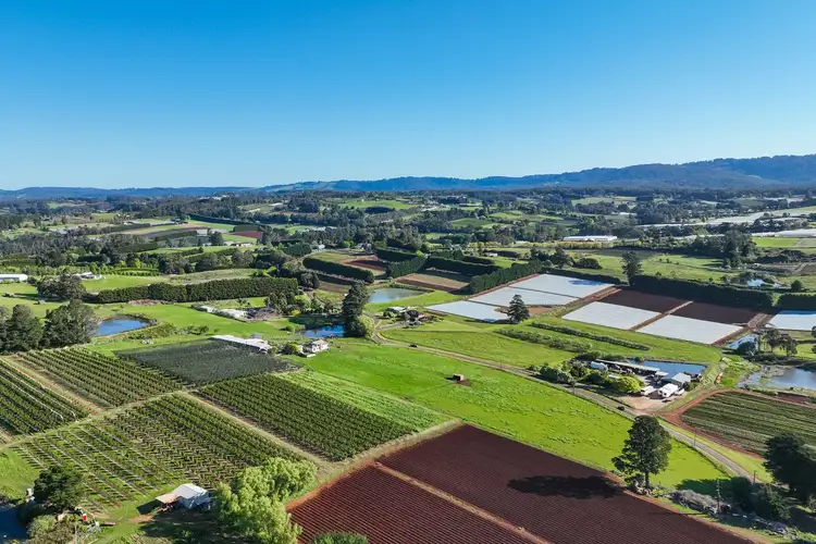 Fifth view of Homely house listing, 135 Wandin East Road, Wandin East VIC 3139