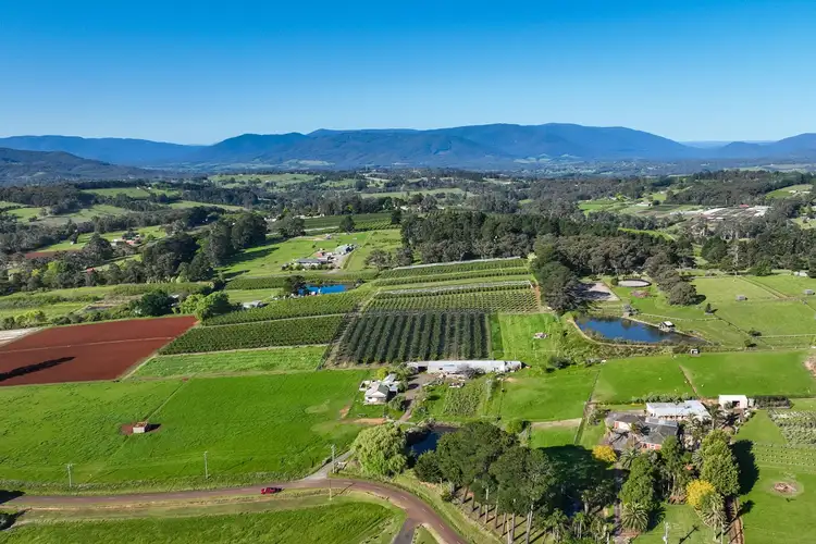 Seventh view of Homely house listing, 135 Wandin East Road, Wandin East VIC 3139