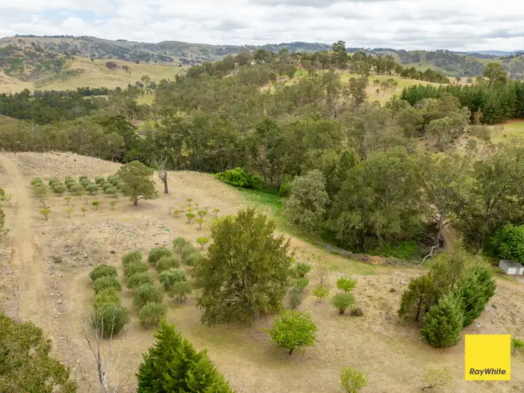 Fifth view of Homely house listing, 12 Kanimbla Drive, Kanimbla NSW 2790