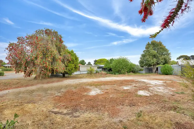 Lot 742 Krieg Street, Nuriootpa SA 5355