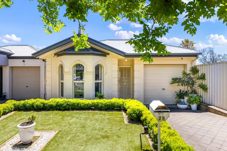 25 Alexander Avenue, Campbelltown SA 5074