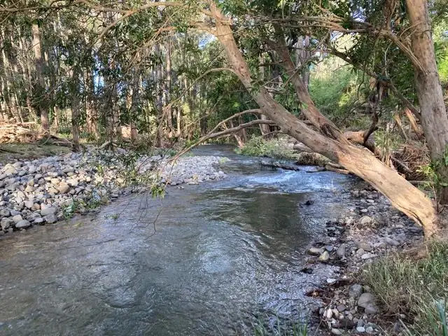 Fifth view of Homely rural property listing, 1114 Gloucester Tops Road, Gloucester NSW 2422