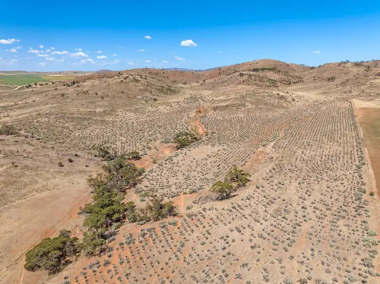 Fifth view of Homely rural property listing, 'Hoopers' Sections 98, 99 & 289 Crocker Hill Road, Pekina SA 5431