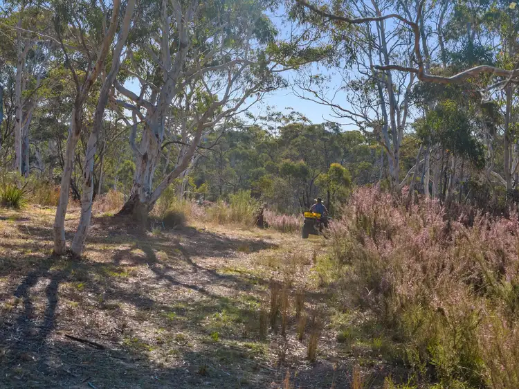 Third view of Homely rural property listing, 123 Oallen Road, Oallen NSW 2622