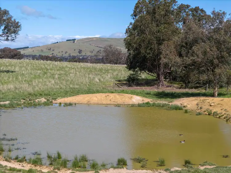 Seventh view of Homely rural property listing, Lot 1 Carmel Park/177 Jones Lane, Springrange NSW 2618