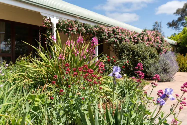 Fifth view of Homely rural property listing, 363 Rolfe Road, Wallaroo NSW 2618