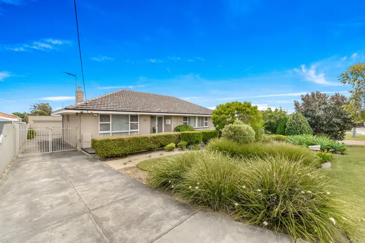 Second view of Homely house listing, 227 Waterloo Street, Tuart Hill WA 6060