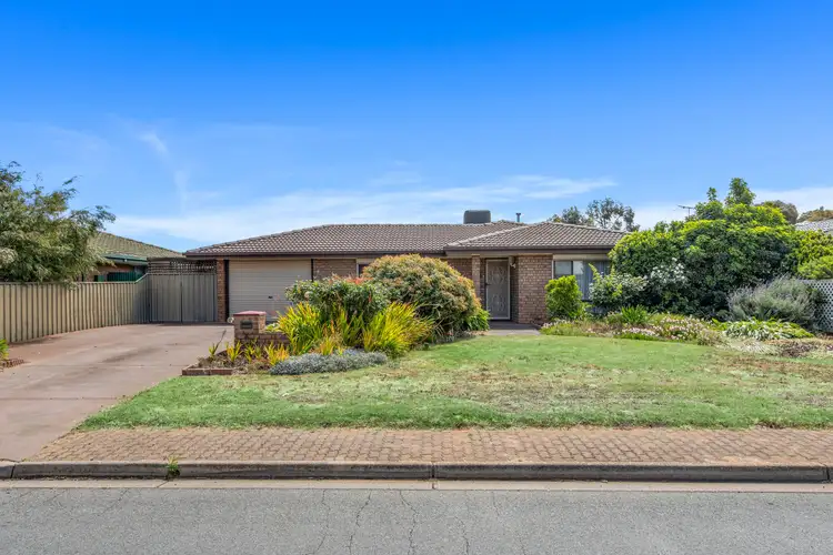 8 President Avenue, Andrews Farm SA 5114